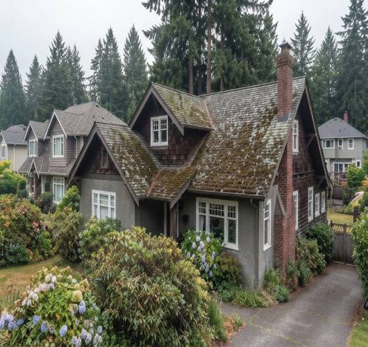 Moss Removal Application