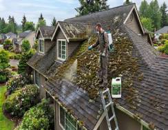 Lichen removal video preview